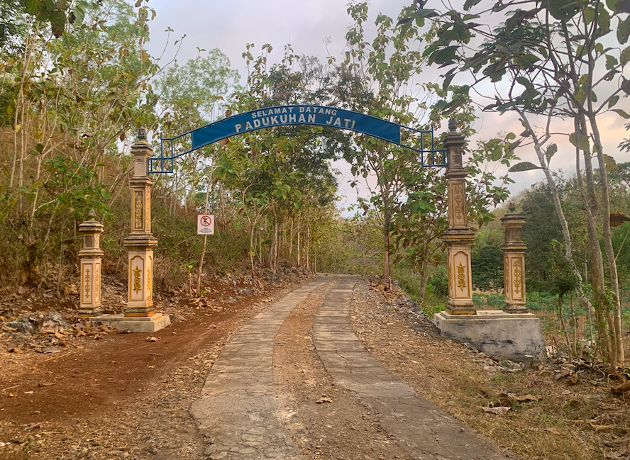 Saat infeksi antraks menyerang, warga pun juga diisolir, sekalipun alam di Padukuhan Jati yang berada di tengah perhutanan pohon jati  (Foto Triyo Handoko)