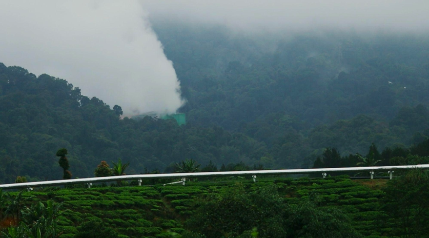 Jaringan pipa penghubung panas bumi yang melewati perkebunan  (Foto Anza Suseno)