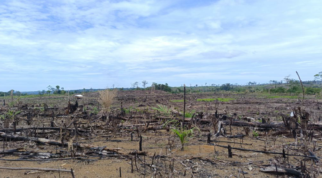 Lahan terbuka di kawasan konsesi PT. API