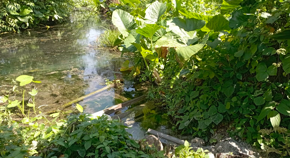 Mata air yang rusak (FOTO: Yolis Atikah Putri )